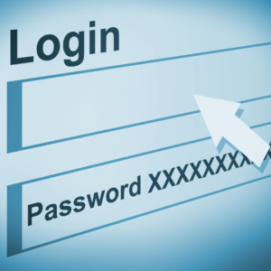 Image of validating account info to make an echeck payment 